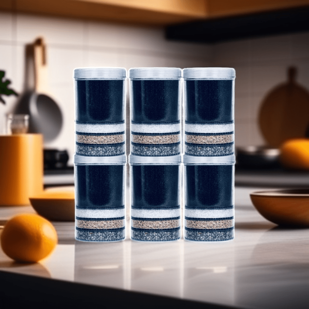 EVA UNITED LTD Cartouches filtres Cartouches filtrantes - Lot de 6 - Fontaine Eva