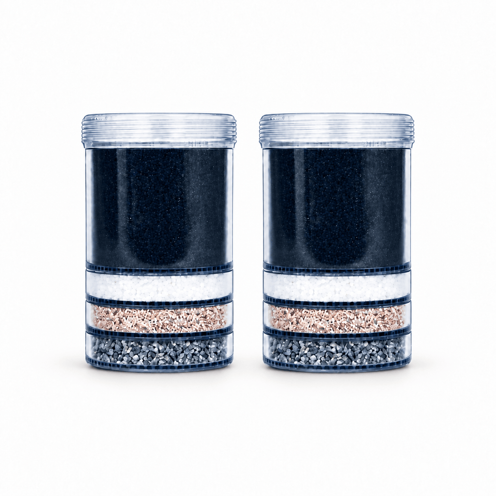 Cartouches filtrantes - Lot de 2 - Fontaine Eva